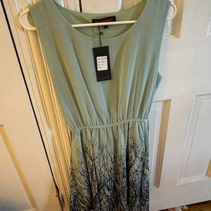 NWOT mint dress